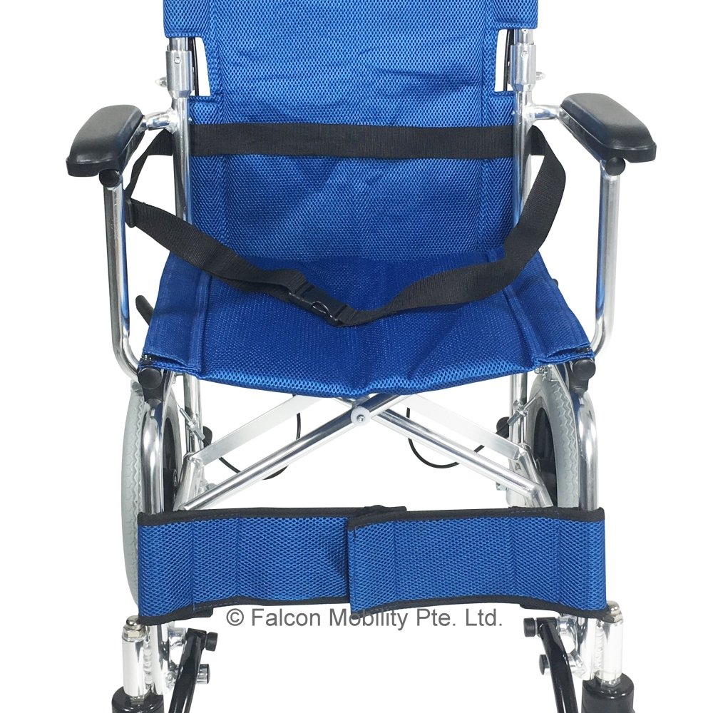 Falcon Aluminium Pushchair