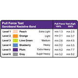 Sanctband Resistance Bands