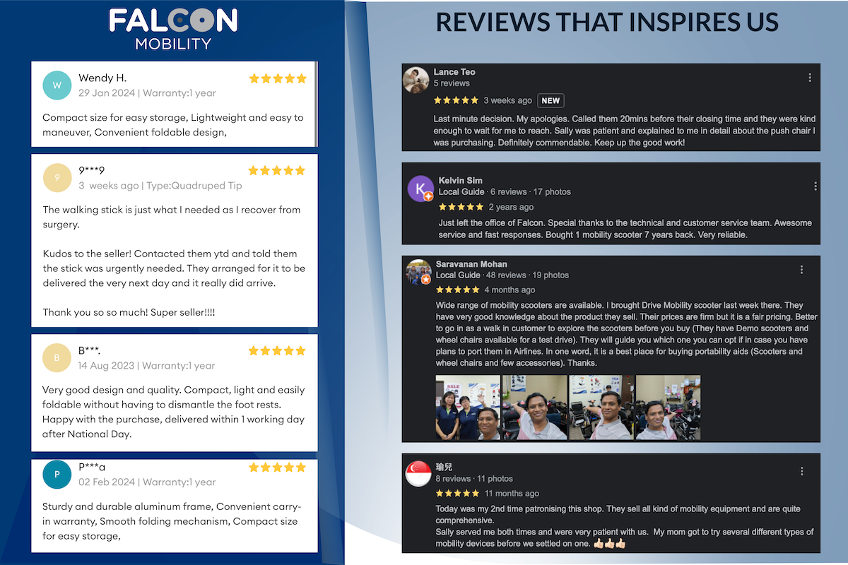 Falcon Review