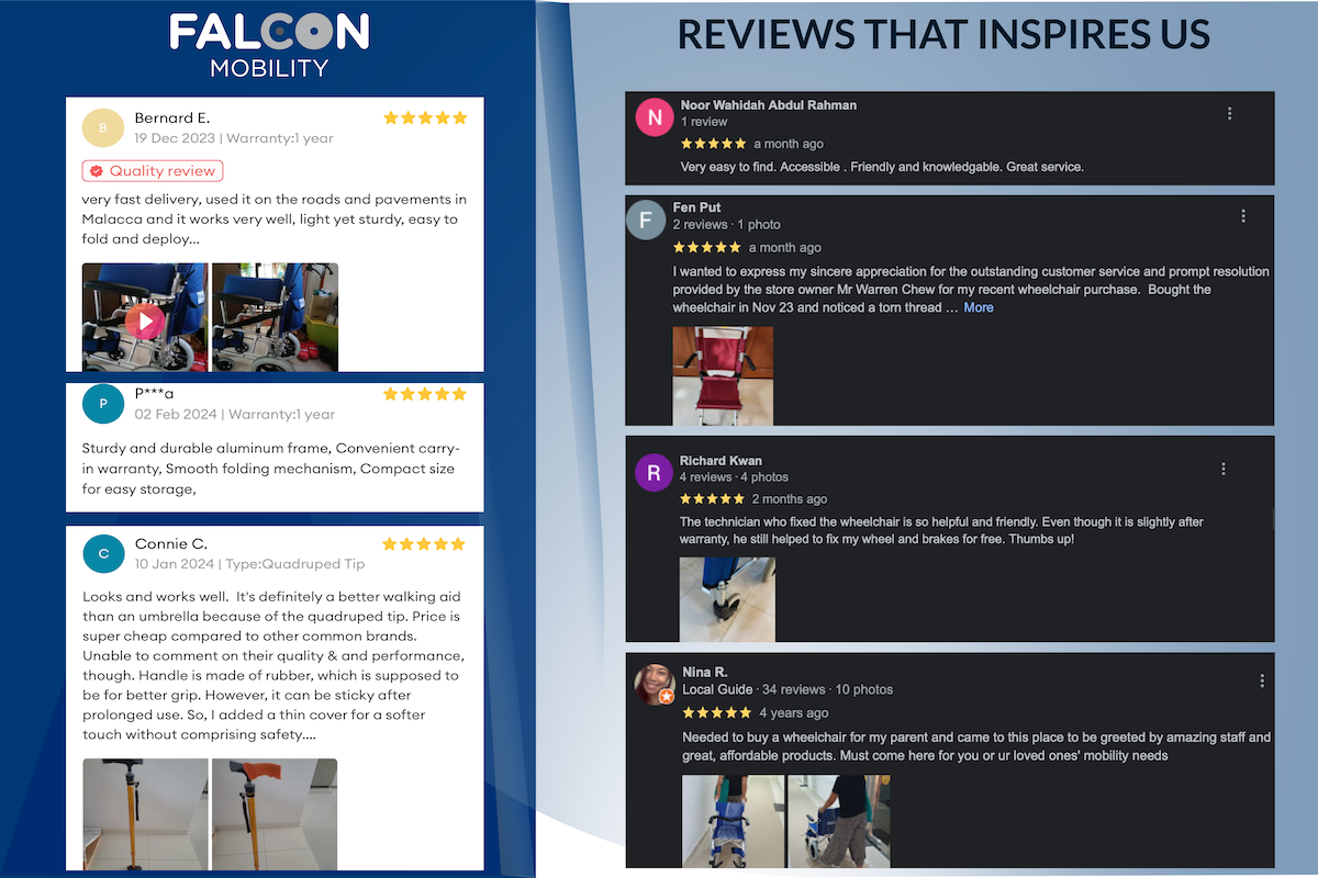Falcon Review