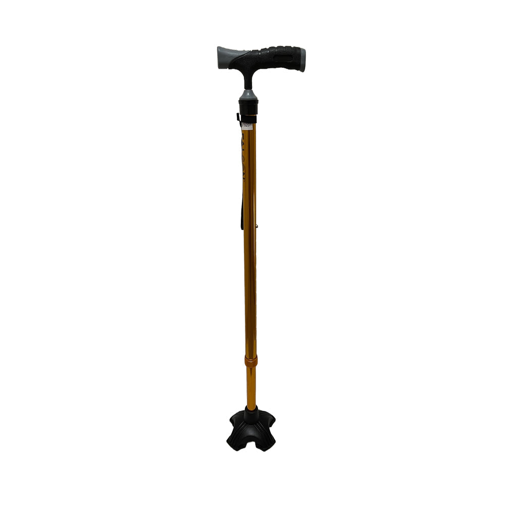Falcon Walking Stick, Quadruped Tip