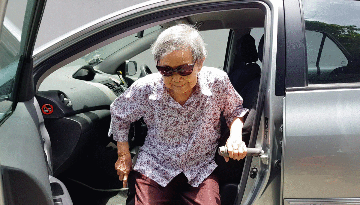 Stander Metro Car Handle for Elderly Persons | The Golden Concepts