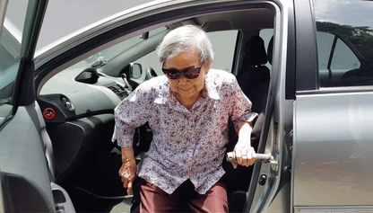 Stander Metro Car Handle for Elderly Persons | The Golden Concepts