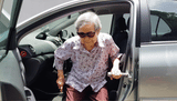 Stander Metro Car Handle for Elderly Persons | The Golden Concepts