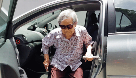 Stander Metro Car Handle for Elderly Persons