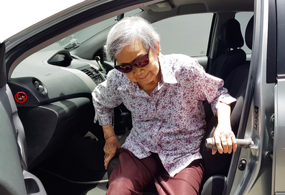 Stander Metro Car Handle for Elderly Persons | The Golden Concepts