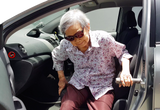 Stander Metro Car Handle for Elderly Persons | The Golden Concepts