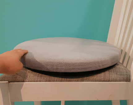 Swivel Cushion